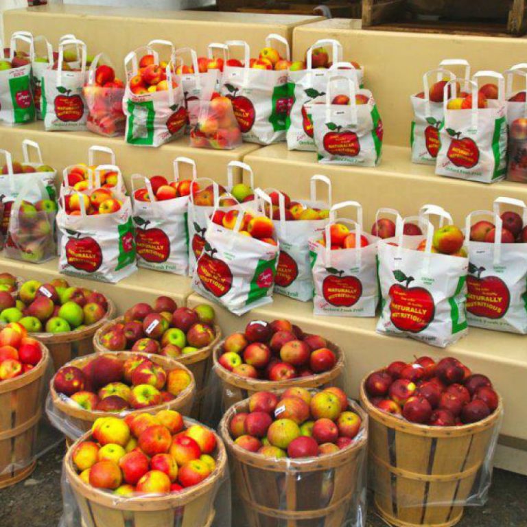 30th Annual Canton Apple n’ Cheese Festival Heaven to Hand